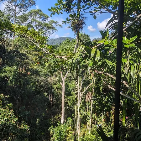 Ella Jungle Inn Homestay And Tree House Exterior photo