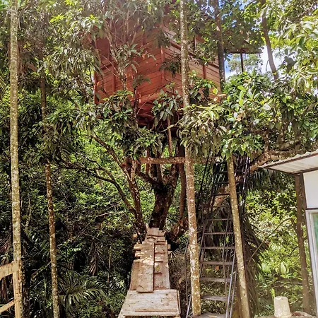 Ella Jungle Inn Homestay And Tree House Exterior photo