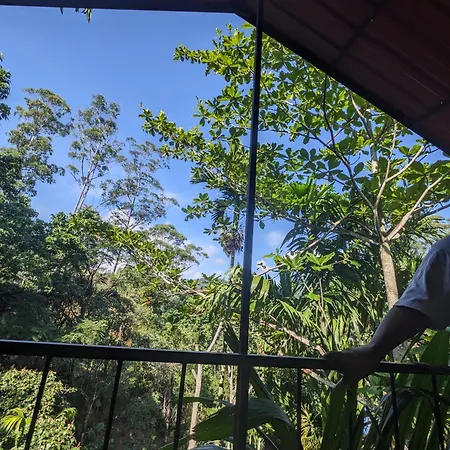 Ella Jungle Inn Homestay And Tree House Exterior photo