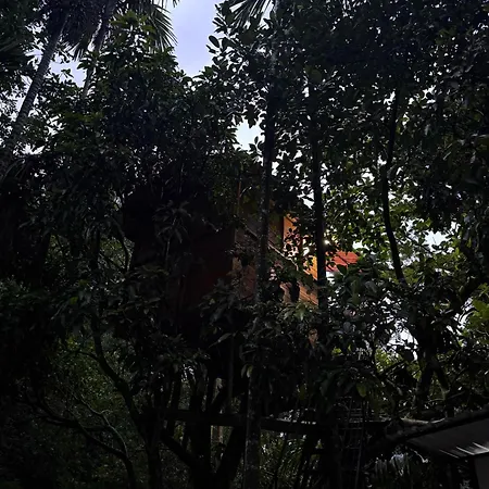 Ella Jungle Inn Homestay And Tree House Exterior photo