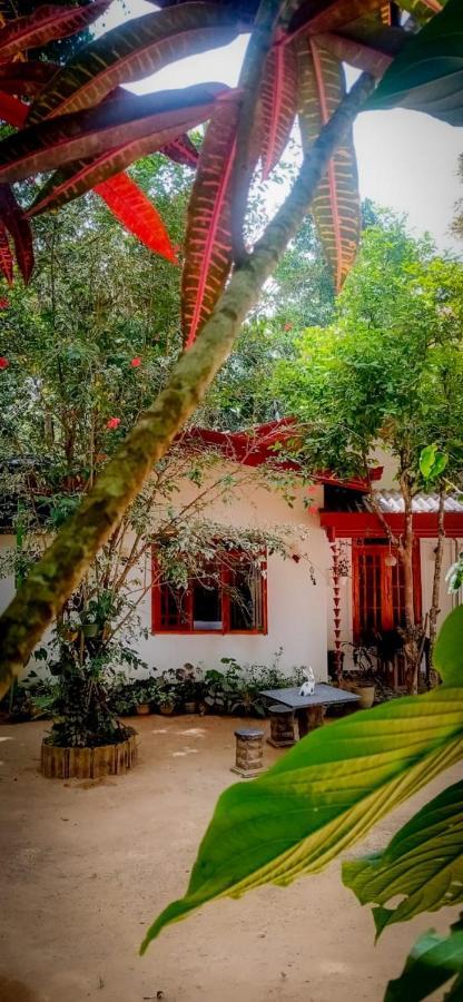 Jungle And Tree House Homestay Ella