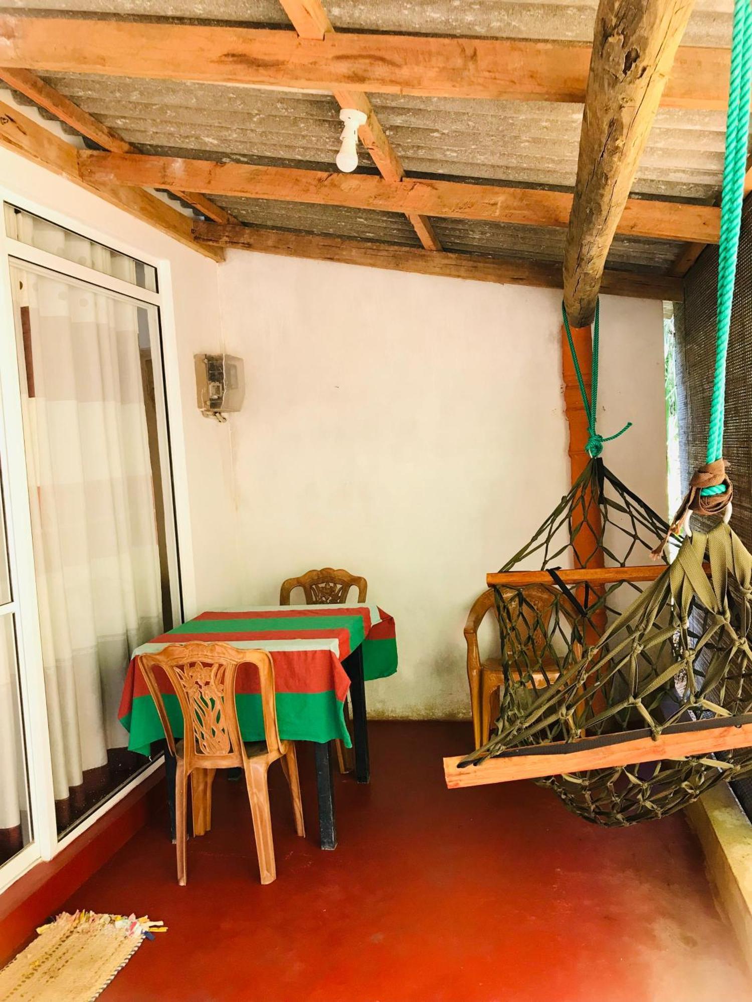 Jungle And Tree House