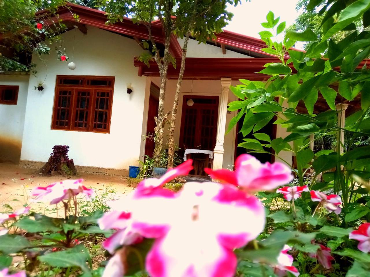Jungle And Tree House *