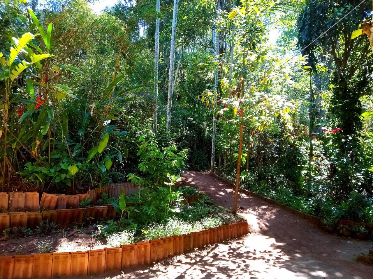 Homestay Jungle And Tree House *