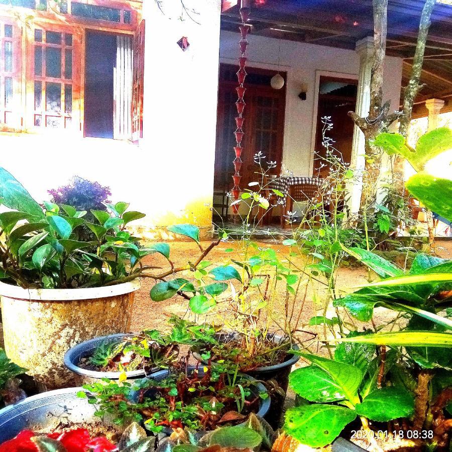 Homestay Jungle And Tree House Ella